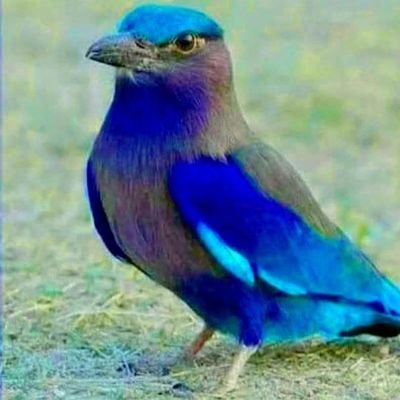 chandan96941622's profile picture. L
k न ही नास्तिक न ही अतिधर्मिक l 
10%followbak