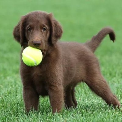 jim_malone1960's profile picture. American Songwriter.  Enjoy driving through Connecticut on weekends. My other car is a sailboat.