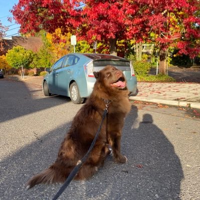 SithLordPepa's profile picture. TikTok: SithLordPepa  |  Instagram: sithlordpepa  |  Fortnite Code: SithLordPepa