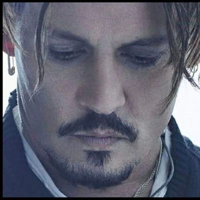 nononsenseplea3's profile picture. amber heard hate account
#AMBERHEARDISANABUSER