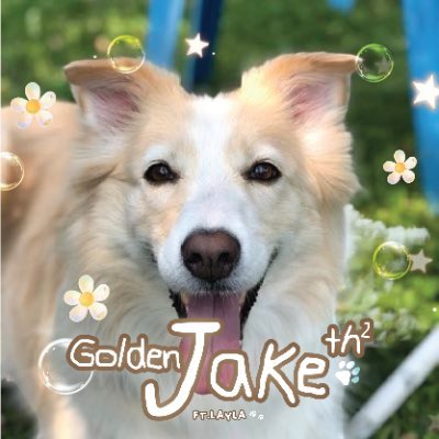 goldenjake_th2's profile picture. Backup account of @goldenjake_th for promoting and supporting #ENHYPEN_JAKE 🐶⭐️ or in case the main account is suspended.♡