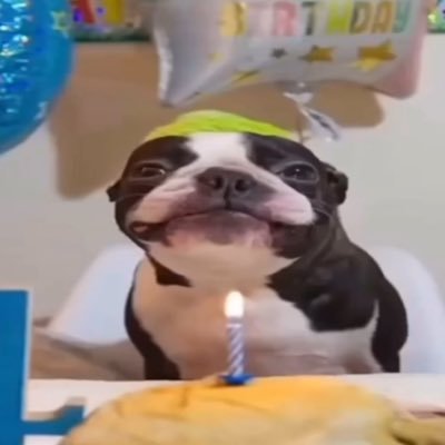 GameraKamara's profile picture. 