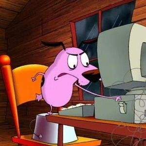 ale_maqueda's profile picture. 