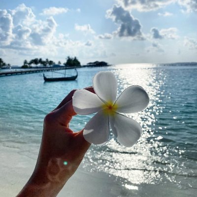 Alina7174's profile picture. Beauty enthusiast 💄 | Courageous in creation, passionate about life 🌍 | A blend of wisdom and beauty 💫