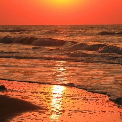 sincitycapital's profile picture. 