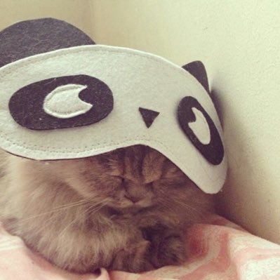 pandapcandy's profile picture. scene panda(*ฅ́ ˘ฅ̀*)🐼 🧁 ᧔ෆ᧓ ; she ; ’𝓳𝓾𝓼𝓽 𝓾𝓻 𝓭𝓸𝓵𝓵’‘