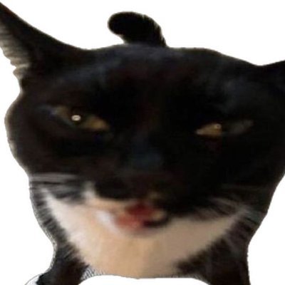 Lun_ure's profile picture. Dumb ass | bad english (Translator ) | 19 |
|Ashamed to publish my art| 🇲🇽 |