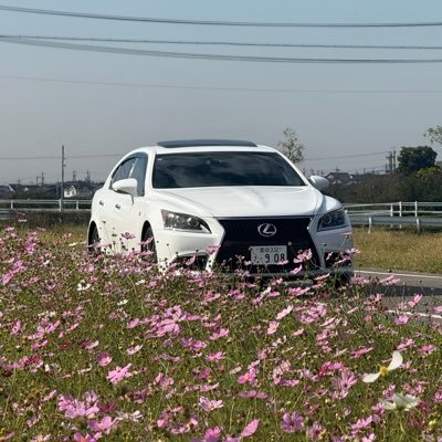 kure81997's profile picture. ラグジュアリー界隈