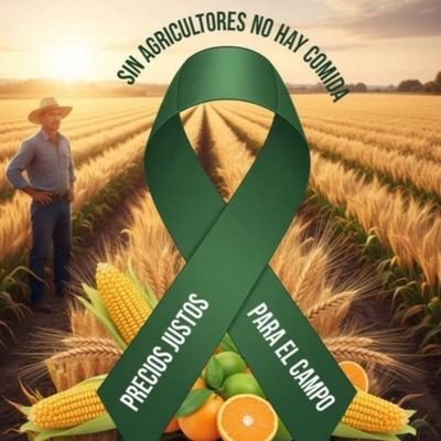 vetvtk's profile picture. 