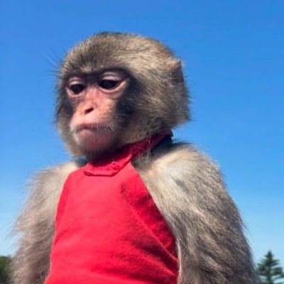 FULLFLEX4's profile picture. init*