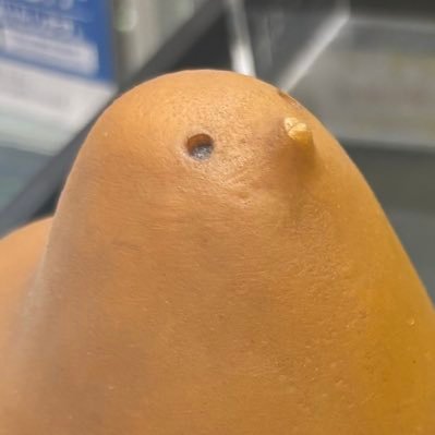 miChi_LuA's profile picture. 俳優、アイドル（SHINee、SJ、🕰️🩷）、野球時々ネコの雑多アカウント。時々note書いてます。