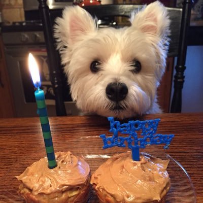 erycqt's profile picture. im gonna pee pee po