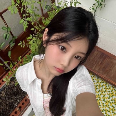 mnmnitty1's profile picture. 상문고세이렌틀정모선배