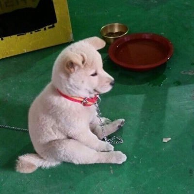 jaunetriste's profile picture. shitpost về những thứ t quan tâm (do not take anything seriously, i am always tripping)