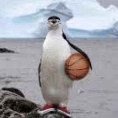 fksfoi's profile picture.