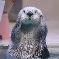 ekhk5ZfuNi27588's profile picture. 