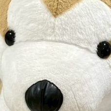 mQ7QBzjwtyX862A's profile picture. 