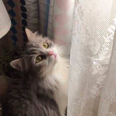 sally_alda's profile picture. {وَكَانَ فَضْلُ اللَّهِ عَلَيْكَ عَظِيمًا}