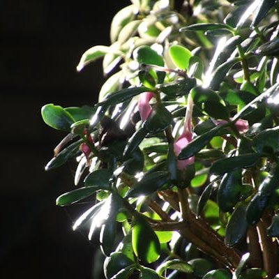 marlito12_'s profile picture. 