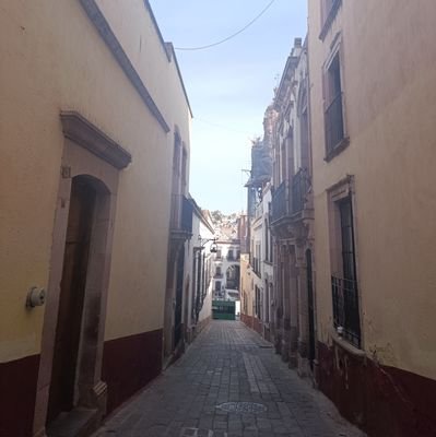 jalflopezh's profile picture. 