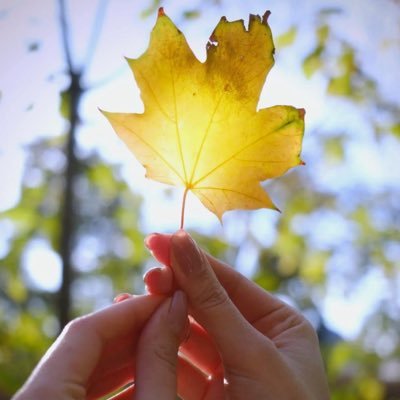 Fangfang730254's profile picture. 