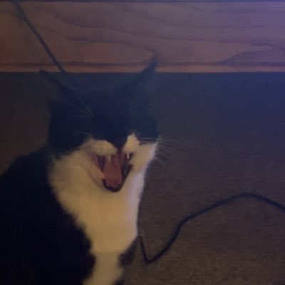 Cole_gate's profile picture. 