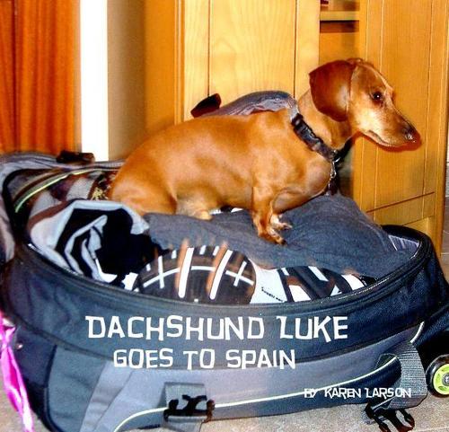Author of 'Dachshund Luke goes to Spain' and proud owner of Dachshund Luke.  Visit  http://t.co/ULeyy6qzeh for everything Dachshund incl. Potty Training