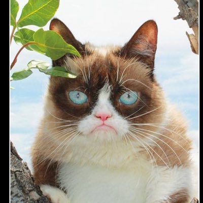 Tim_Scott_Ky's profile picture. Follower of Jesus Christ, Particular Baptist, husband to Diane, father of three, and owner of 2 dogs.