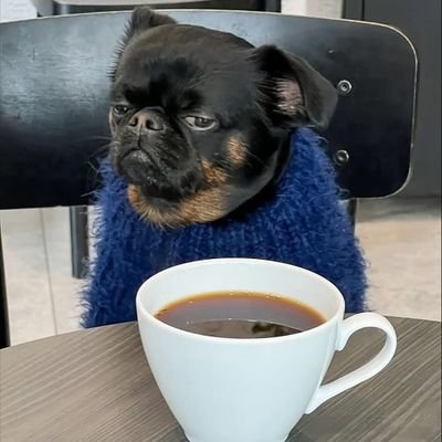 AIonGradFlow's profile picture. I live in dreams and most likely to die in one. I am clairvoyant in the world I live.
https://t.co/L3l3yBgpSS
https://t.co/K1oMhq7cWj