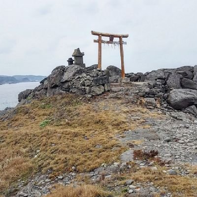 nobuo_7287's profile picture. トルコリラをメインにスワップ投資をやっています🇹🇷
毎日のスワップでリラを買い増しして、複利の力でどこまで行けるか実験中💰️
⛩️神社が大好きなので、リラをメインに…たまに神社の事をポストします。
仲良くして下さい。いつもありがとうございます✨