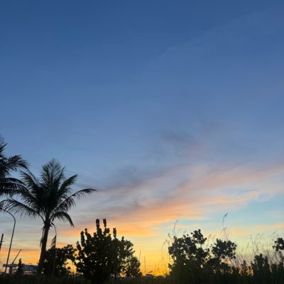 r18h03's profile picture. 🌺👑#琉球ゴールデンキングス #18🧑🏽‍🦱寄りのみんなすき！！😌 #3🐒🍁 #イトワキ🫶🏼 他にもすきなこといっぱい！！