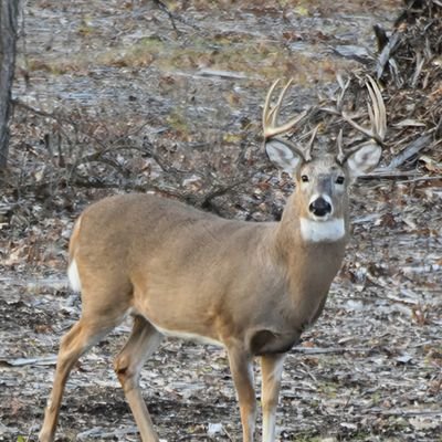 DefendCanada88's profile picture. 🎅 MERRY CHRISTMAS BITCHES 🎄