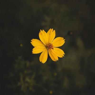 StarAsmr32383's profile picture. 