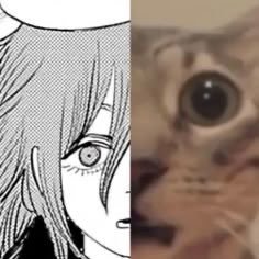 POlSONALAMODE's profile picture. Dave tried to smuggle in a bag of spiders to pour down on me from the 2nd floor balcony of the cathedral but I stopped him with the power of God