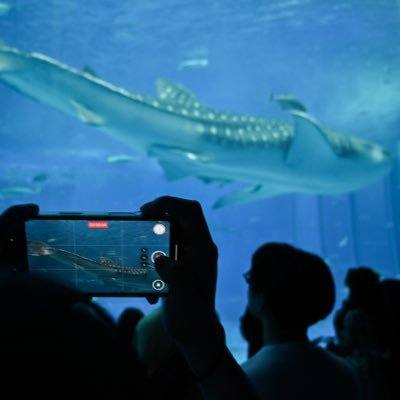 to_mi_green's profile picture. GReeeeN | 登山　| RENOFA