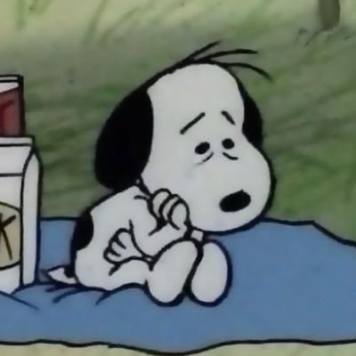 philsnpuck's profile picture. @pucknphils but backwards