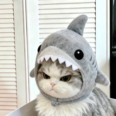 maedayung's profile picture. นอกจากหน้าหี ก็ไม่มีอะไรดีอีกเลย🦄