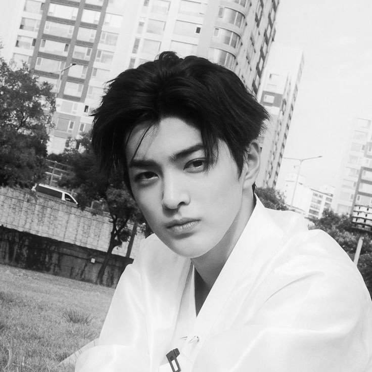 seaboundlight's profile picture. 𝗧𝗛𝗘 𝗖𝗘𝗟𝗘𝗦𝗧𝗜𝗔𝗟 — Lucien Hale. Ravenclaw’s first-year Ministry Student marked by the code 2010. Drawn to Charm, Arithmancy, and Herbology.