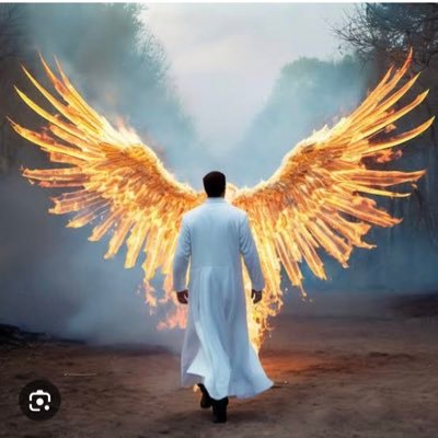 Madalyon47's profile picture. tabiki Galatasaray💛❤️                            “Muhtaç olduğun kudret damarlarındaki asil kanda mevcuttur..”