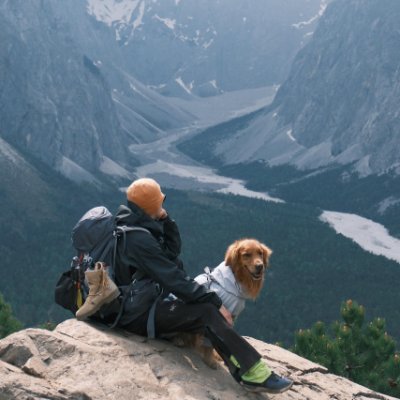 johnoakdalton's profile picture. Mesopotamian hermit. Pure-blooded, against abortion, and a supporter of the Second Amendment. Prayers for the restoration of schools. To break the American curs