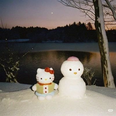 fancyfflrw's profile picture. 