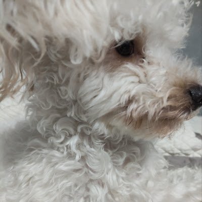 GigiMarKafka's profile picture. 