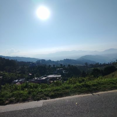 Sandishree's profile picture. 