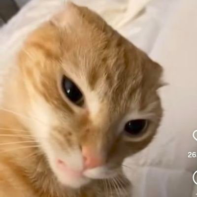 NaoW58471391's profile picture. 