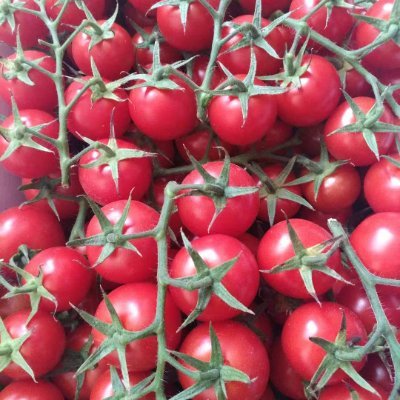 kleen75925512's profile picture. The price of the token is not supported by the value of the project itself