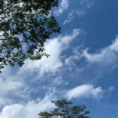 saran_saja's profile picture. follow, auto follback 🫰🏻