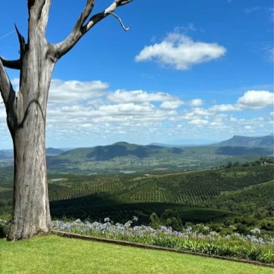 wxngx's profile picture. 