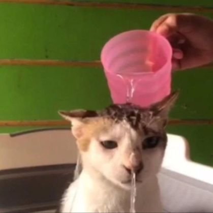 AditiMungekar's profile picture. we're all freaks