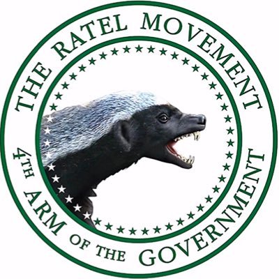 Voiceofconquer's profile picture. @barcelonafc || https://t.co/MVs71Jx299