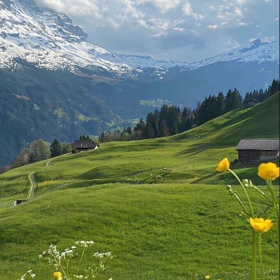 f_f11112's profile picture. Let's meet for brunch on Sunday